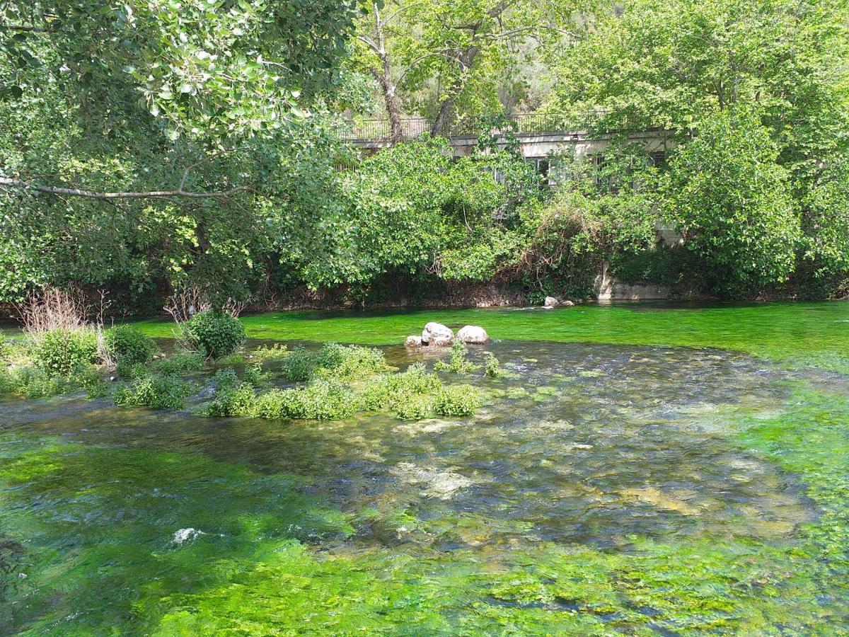 Maison Au Coeur De Fontaine De Vaucluse, Nichee Sur Le Rocher Et Surplombant La Sorgue Buitenkant foto
